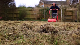 Lawn Scarification  Correct Scarification Procedure [upl. by Llenrahs]