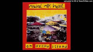 06 Where Youll Find Me Now  Neutral Milk Hotel  On Avery Island [upl. by Ashraf]