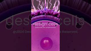 Human Fertilization Process in 3D [upl. by Aizat]