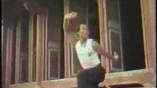 Northern Praying Mantis KungFu Methods [upl. by Seligmann697]