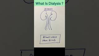 What Is Dialysis [upl. by Georgi]