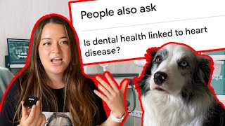 Why You NEED To Be Brushing Your Dog’s Teeth and HOW TO Do It [upl. by Milt679]