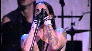 Red Hot Chili Peppers Madison Square Garden NYC 1996 [upl. by Delamare]