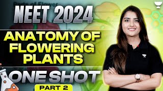 Anatomy of Flowering Plants  One shot  Part 2  NEET 2024  Seep Pahuja [upl. by Ecissej]