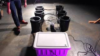 Bubble Flow Buckets How to grow with 2012 best bucket system [upl. by Curnin]