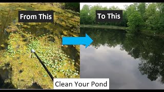 How to clean up your pond from algae and unwanted vegetation [upl. by Stefan]