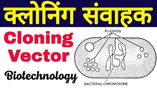 क्लोनिंग संवाहक  cloning vectors class 12  cloning vector in biotechnology  Cloning samvahak [upl. by Inajar92]