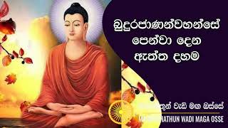 බුදුරජාණන්වහන්සේ පෙන්වා දෙන ඇත්ත දහම Maha Rahathun Wadi Maga Osse [upl. by Arreip]