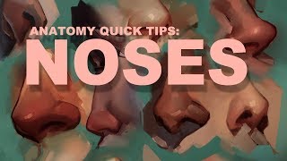 Anatomy Quick Tips Noses [upl. by Partridge]