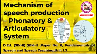 Phonatory System amp Articulatory System [upl. by Ntsud]