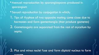 Zygomycota conjugating fungi [upl. by Valerie]