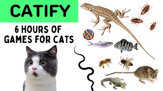 Cat Games  6 HOURS  Mega Compilation Video for Cats to Watch  Mice Fish Bee Cockroach [upl. by Suilienroc191]