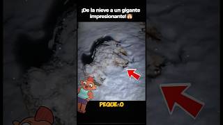 ¡Perro congelado🐶 y sorprende a todos❄️ RescateDePerro historiasdeanimales [upl. by Demmahom508]