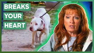 Tias Heartbreaking Effort To Save A Dying Dog  Pit Bulls amp Parolees [upl. by Asilehs]