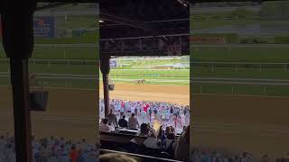 Thorpedo Ann wins the 2024 Coaching Club American Oaks at Saratoga horseracing thoroughbredracing [upl. by Rizzo673]