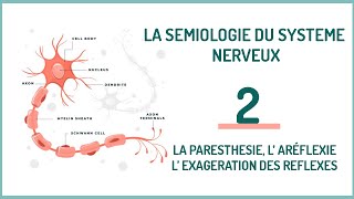 EPISODE 2 La sémiologie neurologique LA PARESTHESIE L’ ARÉFLEXIE L’ EXAGERATION DES REFLEXES [upl. by Dlaregztif]