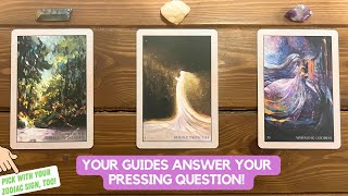 Your Guides Answer Your Pressing Question  Timeless Reading [upl. by Votaw]