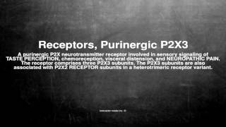 Medical vocabulary What does Receptors Purinergic P2X3 mean [upl. by Llenyr]