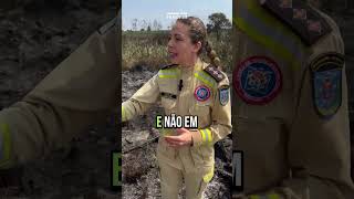 🔥 A principal causa dos incêndios florestais é a ação humana [upl. by Abraham]