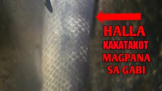 Spearfishing Pagpapana sa GabiNakakatakot lalo kung maraming ahas sa spot [upl. by Carbone]