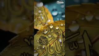 aroser meheman korechen Allah Islamic Bangla gojol trend video video short video [upl. by Sillig]