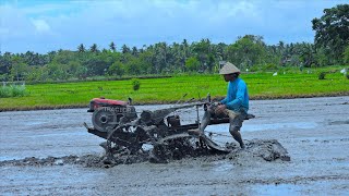 Rotary Diesel Walk Behind Tractor Tilling Mud [upl. by Sybille]