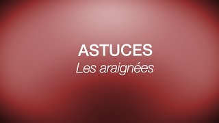 Astuce aromathérapie les araignées et les huiles essentielles [upl. by Atneciv977]