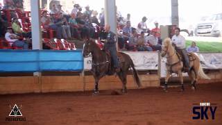 RANCHO SKY  POTRO FUTURO MARCAS DE OURO 2017 [upl. by Euqnomod]