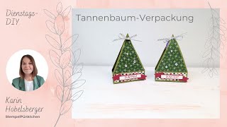 Anleitung TannenbaumVerpackung [upl. by Rettke751]