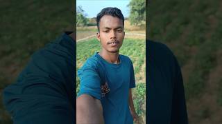 Ajj apna kheti bari dikhayenge ।।minivlog sdanandvlog reels [upl. by Assadah565]