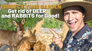 Top 3 Ways to keep Deer and Rabbits OUT OF YOUR GARDEN [upl. by Eob]