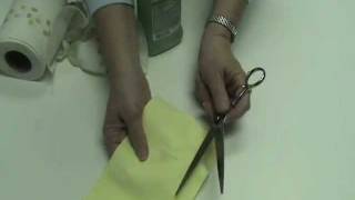 How to Clean Beauty Shears [upl. by Yetnruoc758]