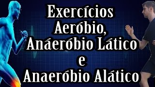 Definição de Exercícios Aerobio Anaeróbio Lático e Anaeróbio Alático  Desenrolando a Fisiologia [upl. by Thomson849]