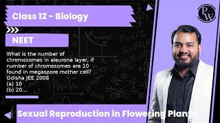 What is the number of chromosomes in aleurone layer if number of chromosomes are 10 found in [upl. by Ahsimrac359]