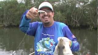 Robalo Flecha Bertioga  SP  Snook Fishing artificial Bait   Jig head [upl. by Esinwahs]