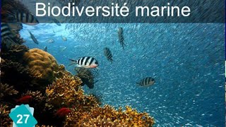 CARTE 27 Biodiversité marine [upl. by Dietz26]