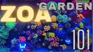 Zoanthid Garden How to [upl. by Annirok369]