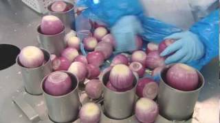 How Its Made  Onions Gills Onions [upl. by Vladamir]