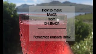 Fermented Rhubarb drink  KVASS from rhubarb NATURAL Recipe [upl. by Stochmal592]