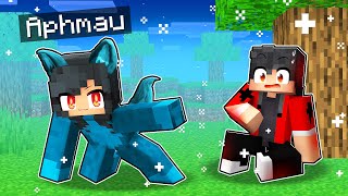 APHMAU Playing as the ICE WEREWOLF in Minecraft  Parody StoryEinAaron and KC GIRL [upl. by Edmondo]