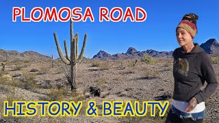 Exploring Plomosa Road In Quartzsite Arizona With Drone Footage [upl. by Gintz]