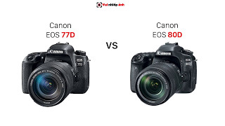 VNA So sánh Canon EOS 77D vs 80D [upl. by Leverick761]