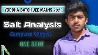 COMPLETE SALT ANALYSIS IN ONE SHOT REVISION LECTURE FOR JEE MAINS 2025  YODDHA JEE 2025 BATCH [upl. by Shing786]