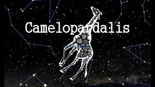 The Camelopardalis constellation Information history [upl. by Barron]