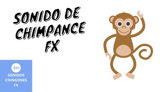 Chimpancé Chango Mono 1  efecto de sonido para videos [upl. by Epner155]