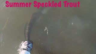 Summer Speckled Trout Wade Fishing in Baffin Bay Texas [upl. by Cattan]