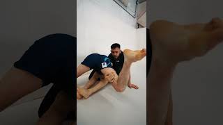 Will Nicholls amp George Pearse grappling bjj nogi [upl. by Vershen]