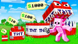 Minecraft But I Can Buy CUSTOM TNT [upl. by Artim]