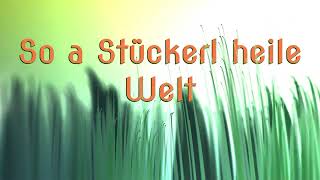 So a stückerl heile Welt Stefanie Hertel  Cover Schlagerburschi [upl. by Masuh]