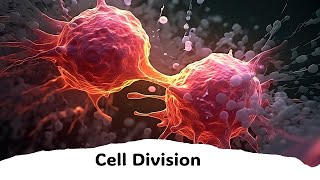 Splitting Life The Marvel of Cell Division [upl. by Eiznikcm363]